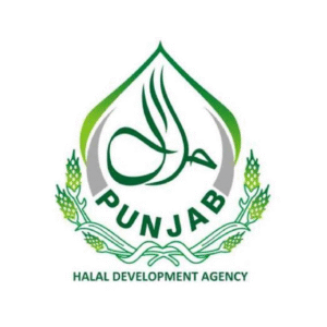 LOGO-2